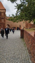 IMG_20230516_130153.jpg