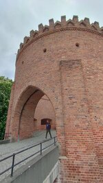 IMG_20230516_130431.jpg