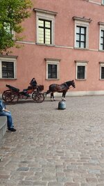 IMG_20230516_134347.jpg