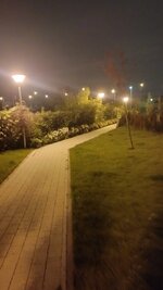 IMG_20230519_220157_1.jpg