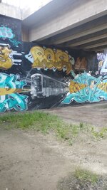 IMG_20230520_175611_1.jpg