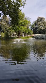 IMG_20230521_171647_1.jpg