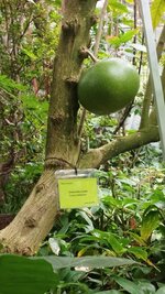 IMG_20230524_130208_1.jpg