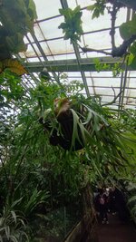 IMG_20230524_125954_1.jpg