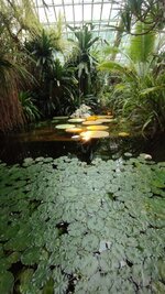 IMG_20230524_124342_1.jpg