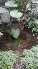 IMG_20230524_123638_1.jpg