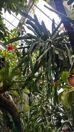 IMG_20230524_130035.jpg