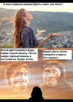 IMG_9183.jpeg IMG_9183.jpeg