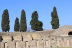 IMG_1010.JPG