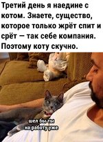 IMG_2251.jpeg