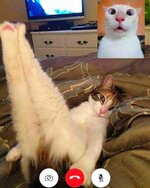 IMG_7814.jpeg