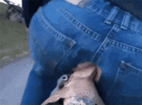 IMG_0466.gif