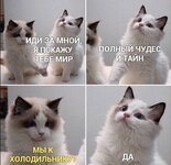 IMG_8698.jpeg