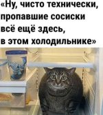 IMG_0335.jpeg